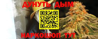 прущие грибы Нальчик