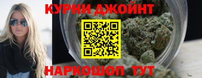 прущие грибы Нальчик